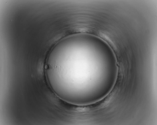 X0000089890394200707051232