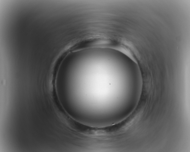 X0000089890395200707051232