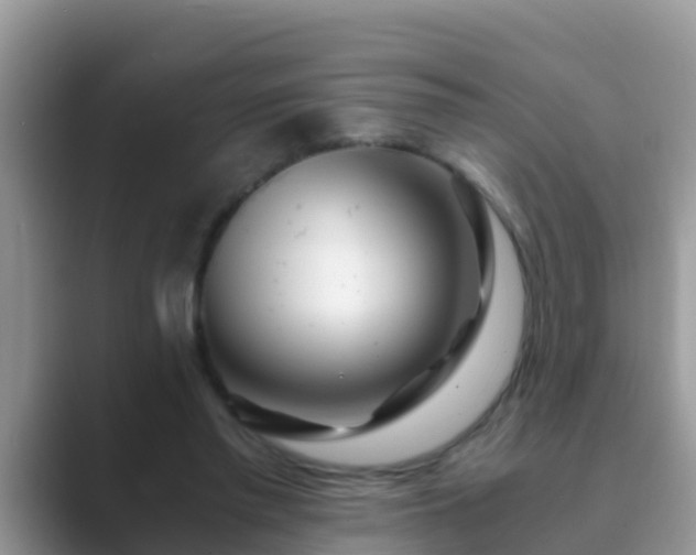 X0000089890397200707051232