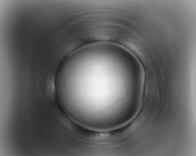 X0000089890398200707051232