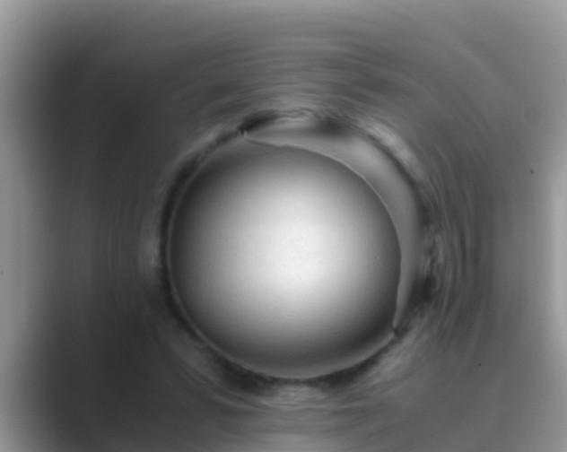 X0000089890399200707051232