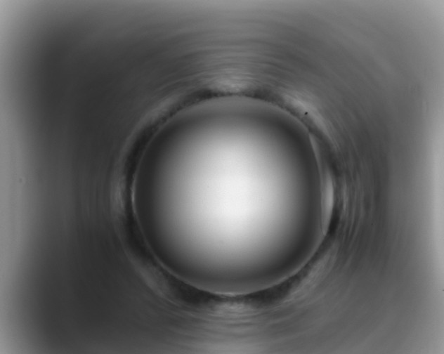 X0000089890400200707051232