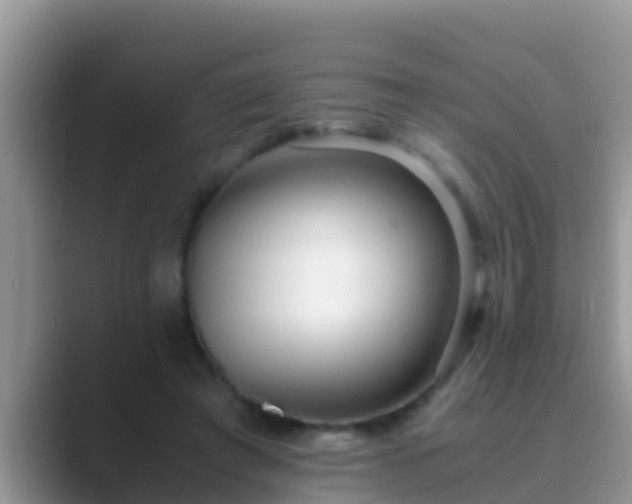 X0000089890401200707051232