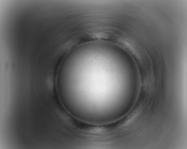 X0000089890402200707051232