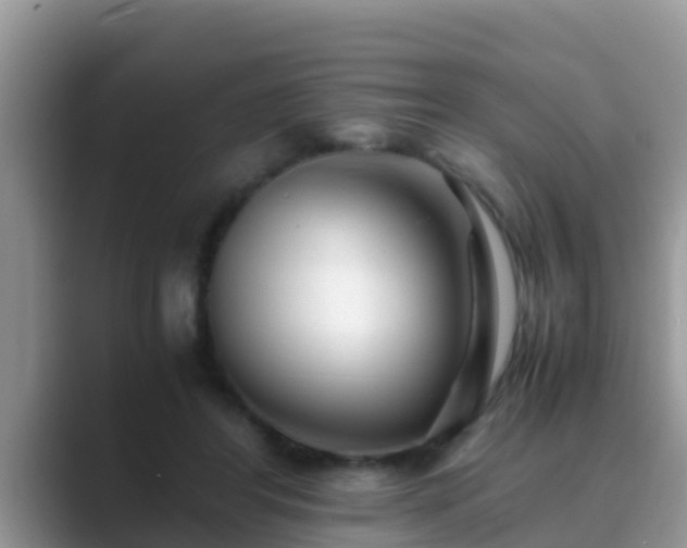 X0000089890404200707051232