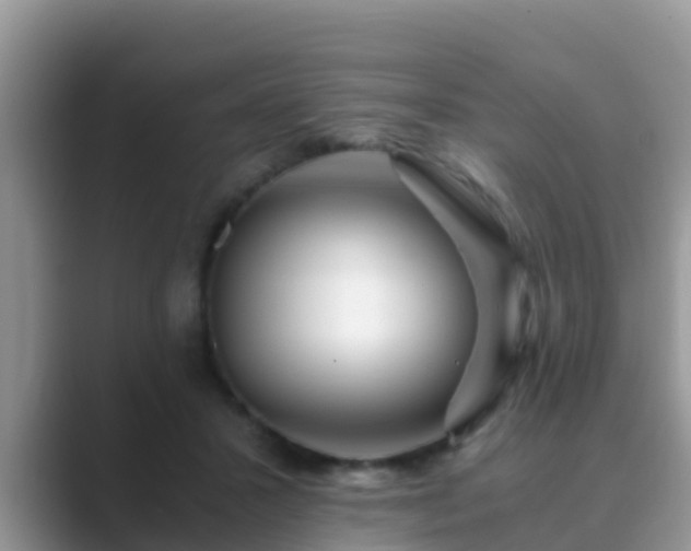 X0000089890407200707051232