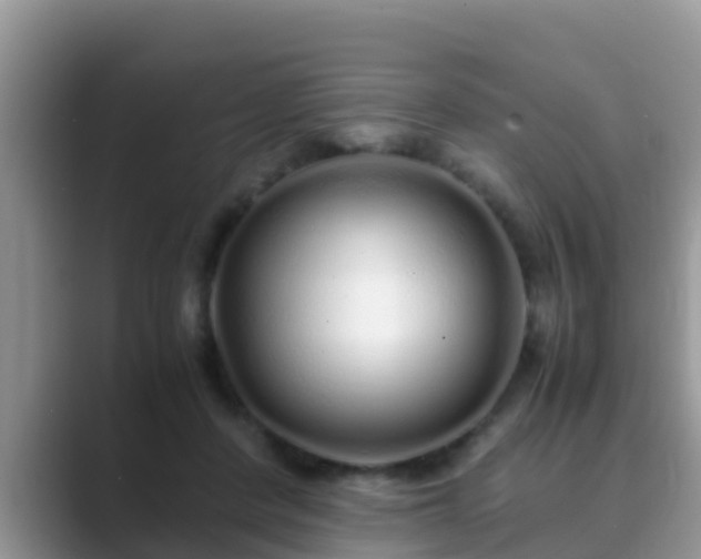 X0000089890408200707051232