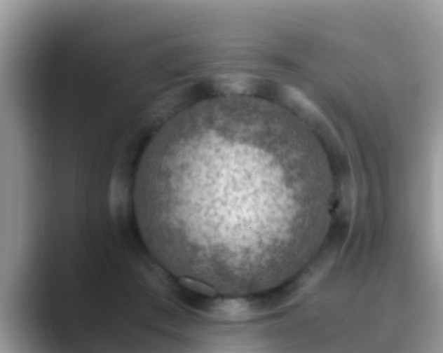 X0000089890409200707051232