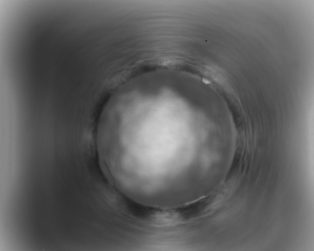 X0000089890415200707051232