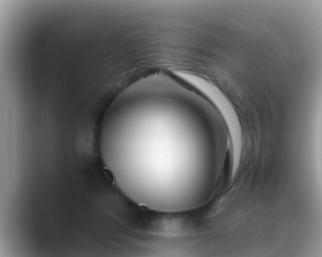 X0000089890416200707051232