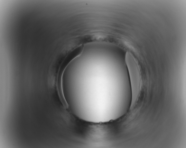 X0000089890417200707051232