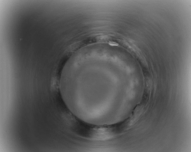 X0000089890419200707051232