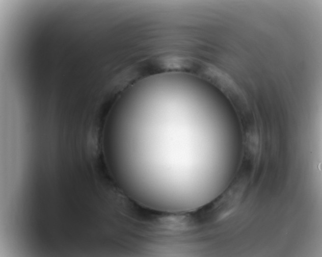 X0000089890422200707051232