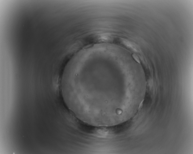 X0000089890423200707051232