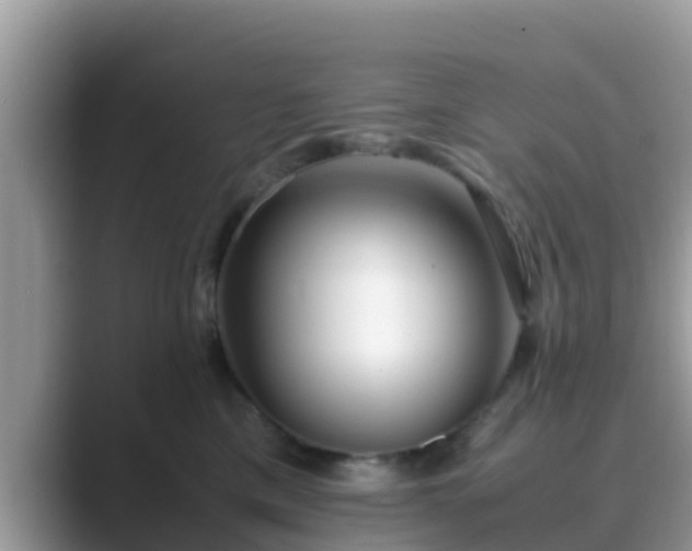 X0000089890425200707051232