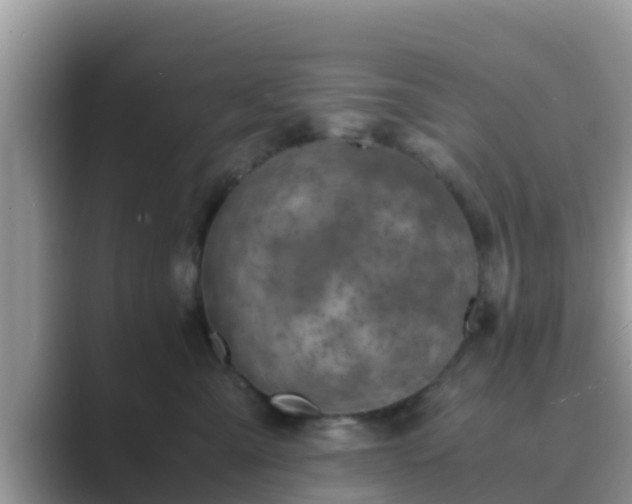 X0000089890427200707051232