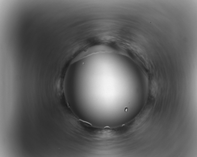 X0000089890428200707051232