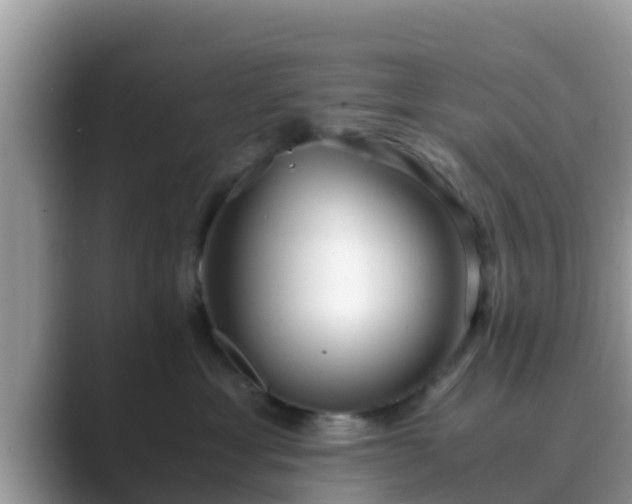 X0000089890429200707051232