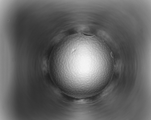 X0000089890430200707051232