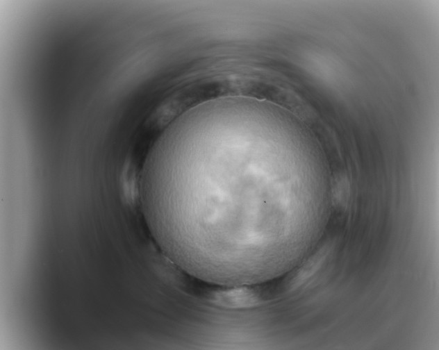 X0000089890431200707051232