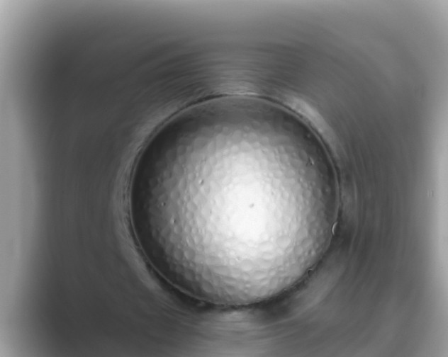 X0000089890433200707051231