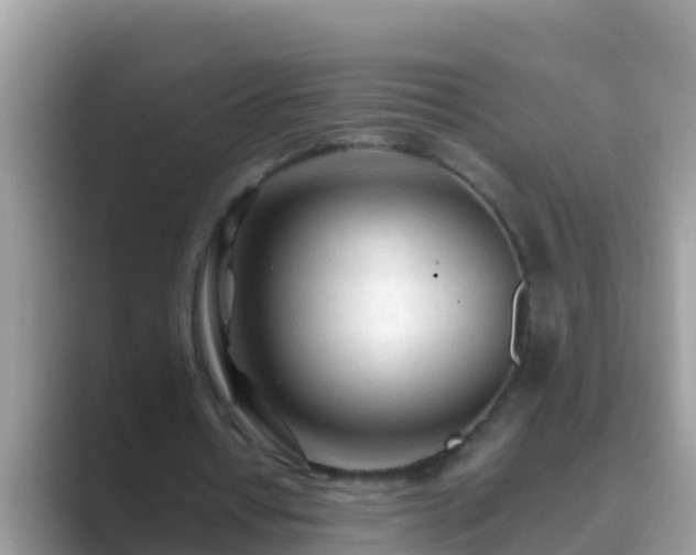 X0000089890434200707051231