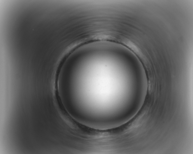 X0000089890438200707051231