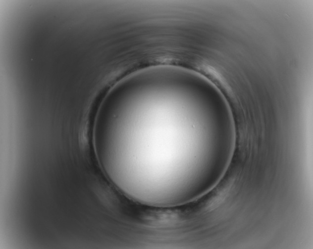 X0000089890443200707051231