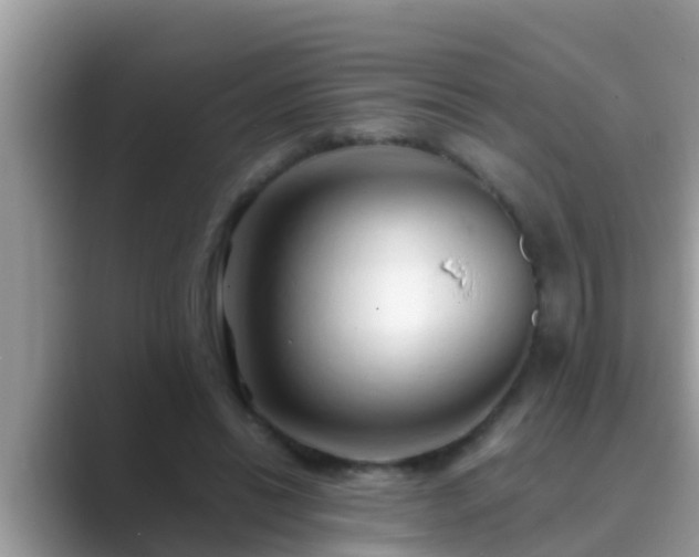 X0000089890446200707051231