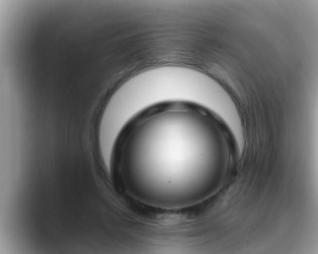 X0000089890448200707051231