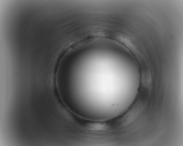 X0000089890449200707051231