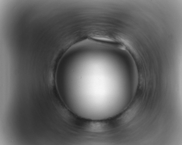 X0000089890453200707051231