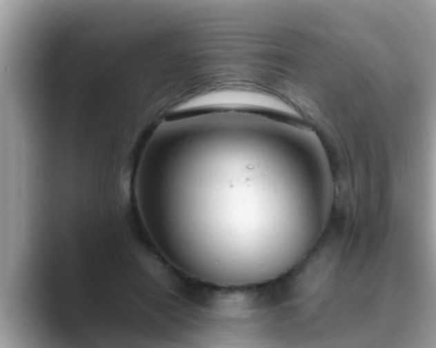 X0000089890454200707051231