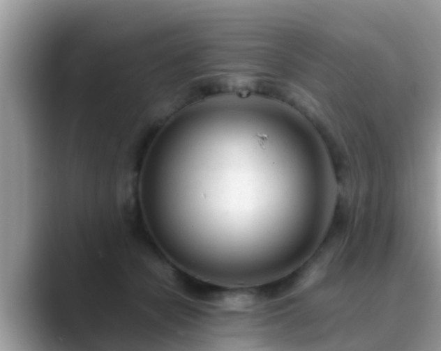 X0000089890462200707051231