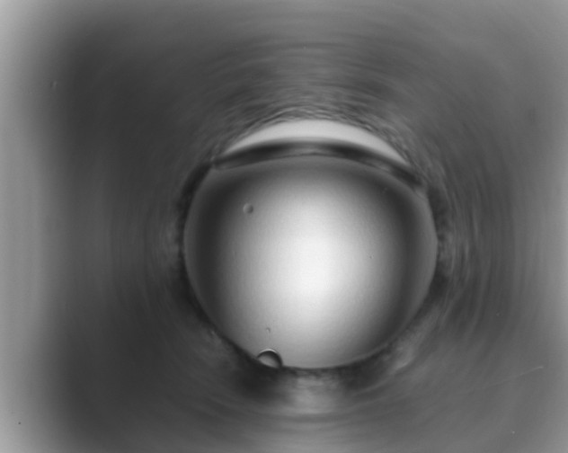 X0000089890466200707051231