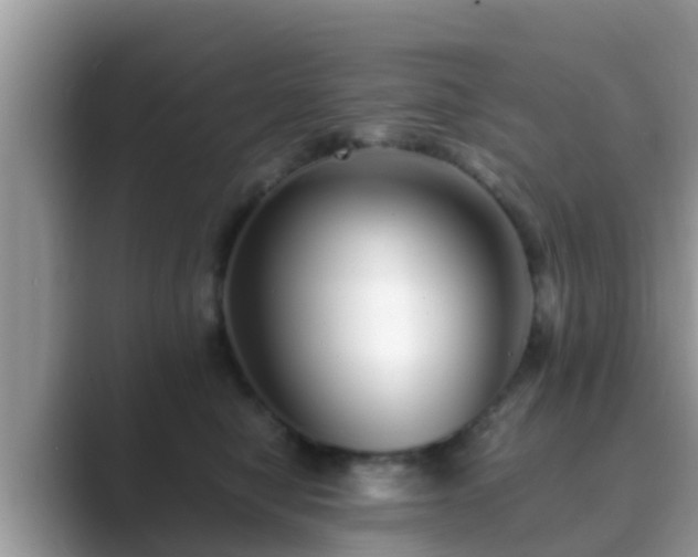 X0000089890470200707051232