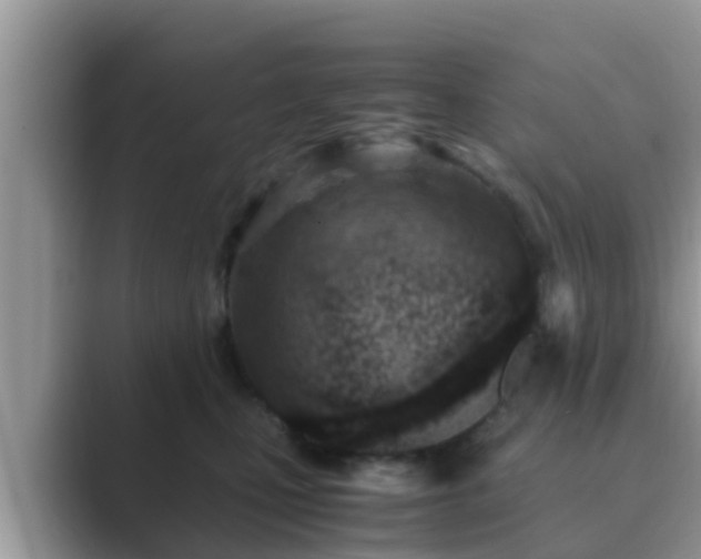 X0000089890471200707051232