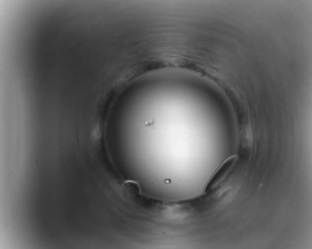 X0000089890472200707051232