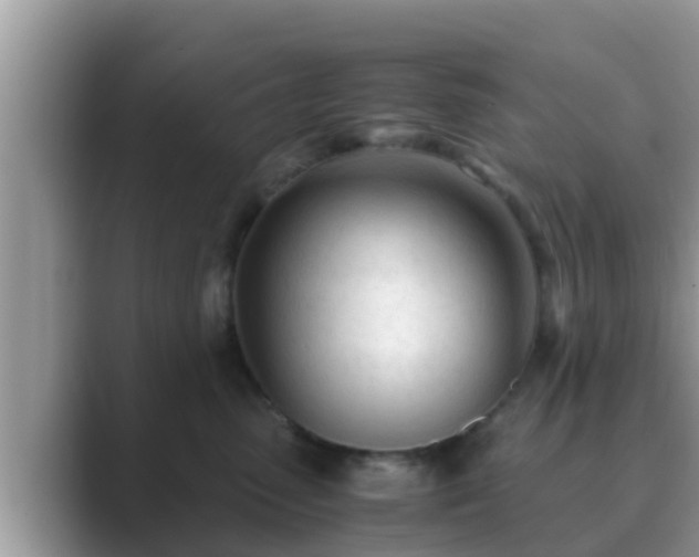 X0000089890475200707051232