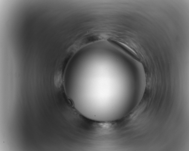 X0000089890478200707051232