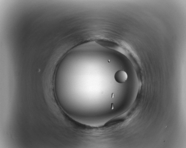 X0000089890481200707051231