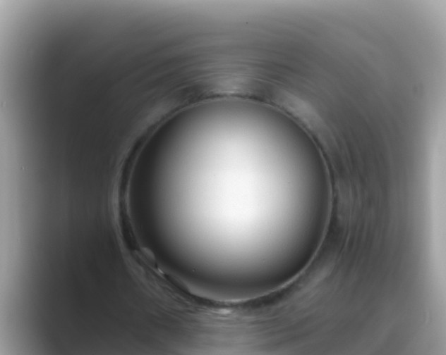 X0000089890482200707051231