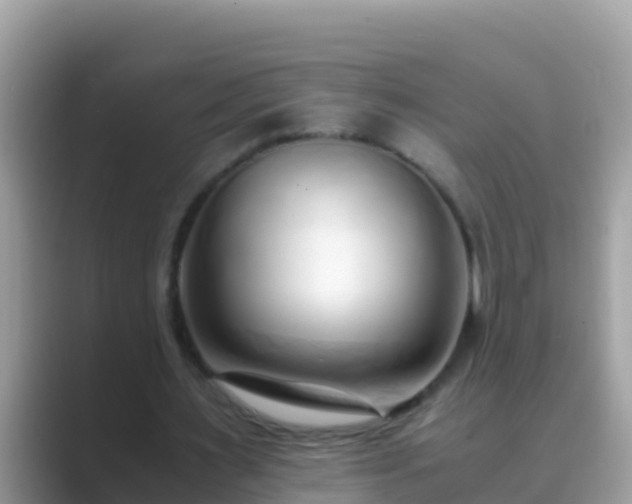 X0000089890483200707051231