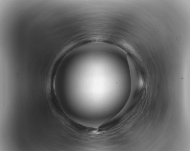 X0000089890484200707051231