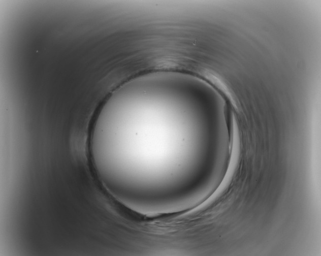 X0000089890485200707051231