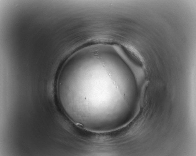 X0000089890487200707051231