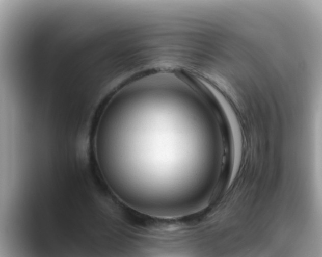 X0000089890488200707051231