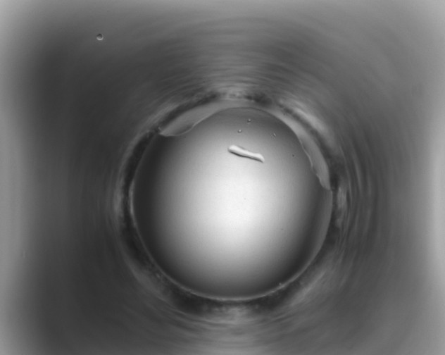 X0000089890492200707051231