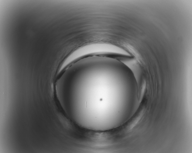 X0000089890493200707051231