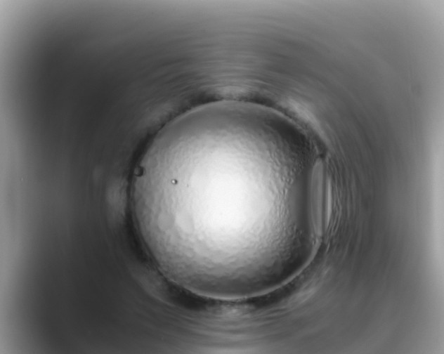 X0000089890495200707051231